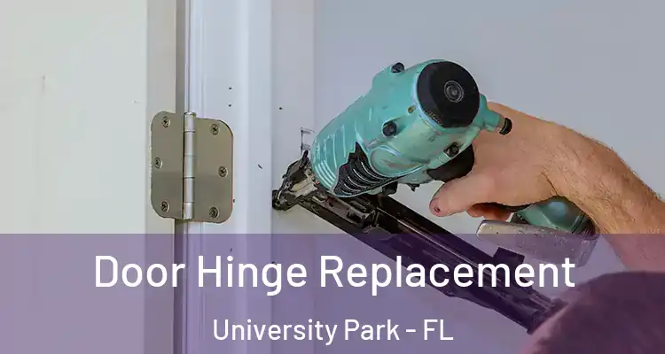  Door Hinge Replacement University Park - FL