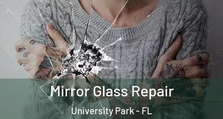  Mirror Glass Repair University Park - FL