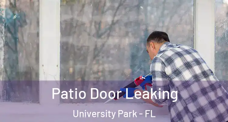  Patio Door Leaking University Park - FL