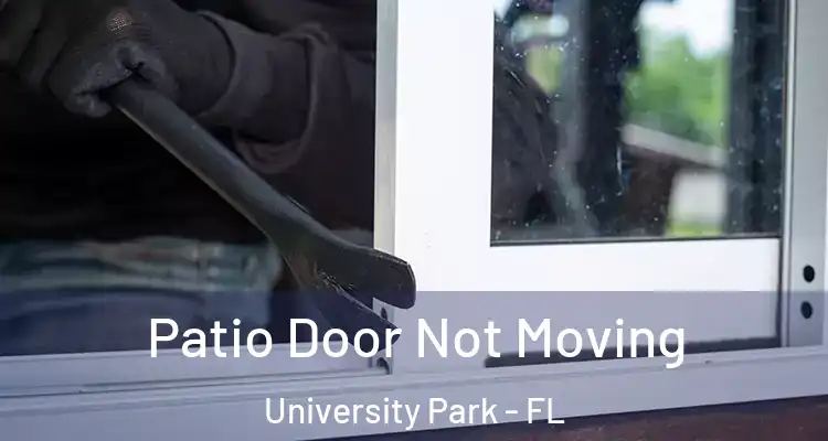  Patio Door Not Moving University Park - FL
