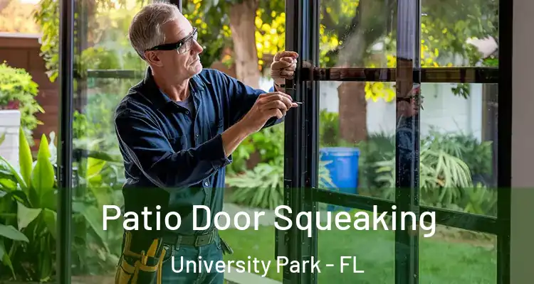  Patio Door Squeaking University Park - FL