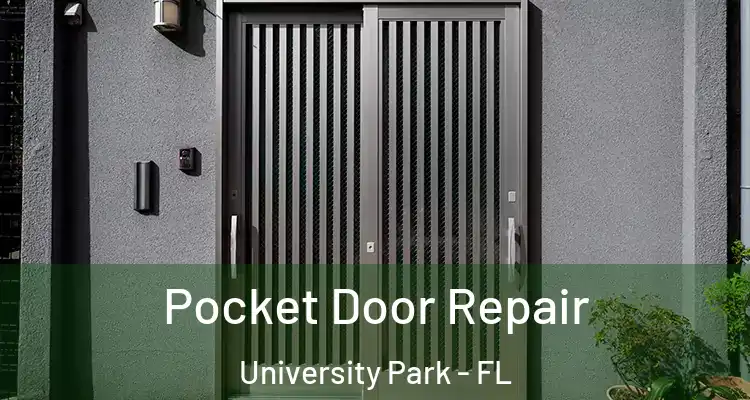  Pocket Door Repair University Park - FL