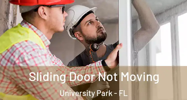  Sliding Door Not Moving University Park - FL