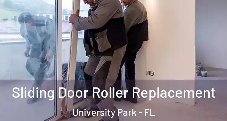  Sliding Door Roller Replacement University Park - FL